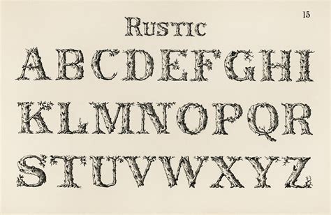 Rustic Calligraphy Fonts From Draughtsmans Alphabets Flickr