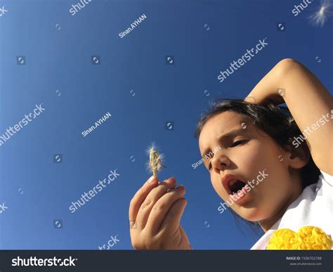 Little Girl Blowing Dandelion Seeds Stock Photo 1506702788 Shutterstock