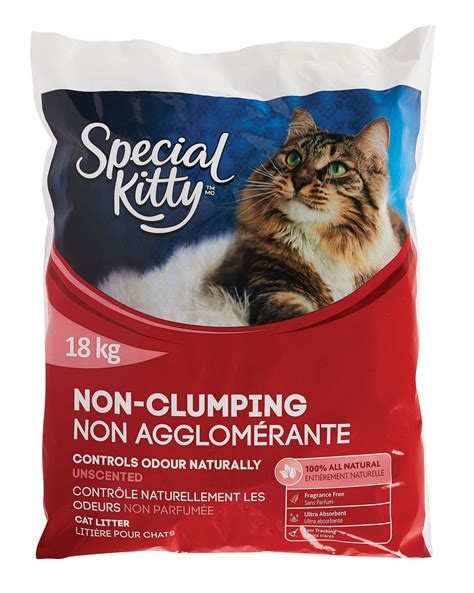 Special Kitty Non Clumping Odour Control Unscented Cat Litter Walmart