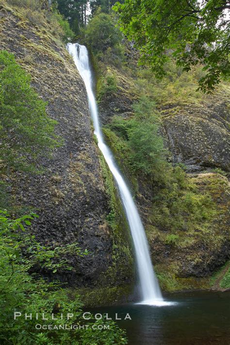 Horsetail Falls Columbia River Gorge National Scenic Area Oregon