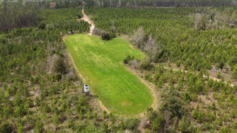 Land for Sale in Chilton County, Alabama - 114 Properties - Land.com