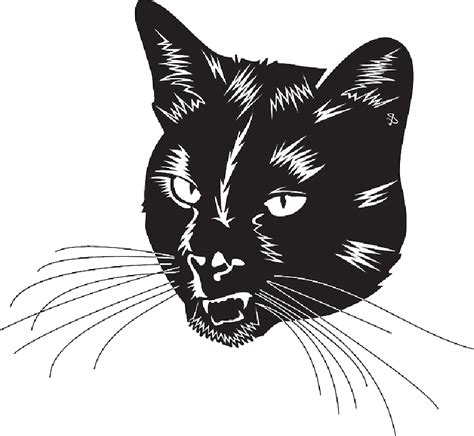 Black Cat Head With Whiskers Transparent Png Stickpng