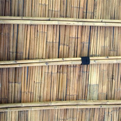 Bamboo Roof Stock Image Image Of Cane Architecturally 142758527