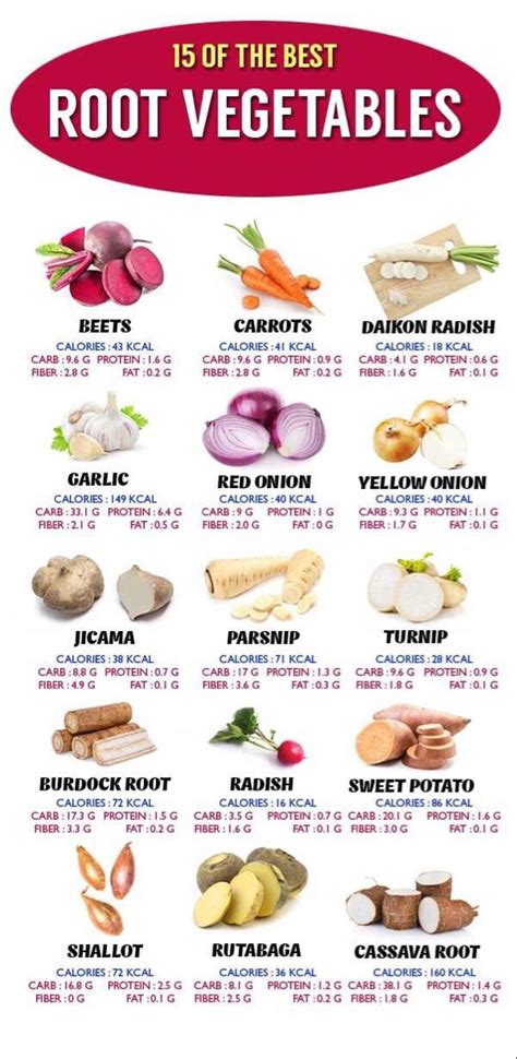 15 Of The Best Root Vegetables Vegetable Benefits Diet And Nutrition
