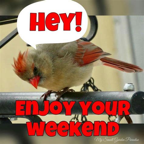 Hey Enjoy Your Weekend Pictures Photos And Images For Facebook