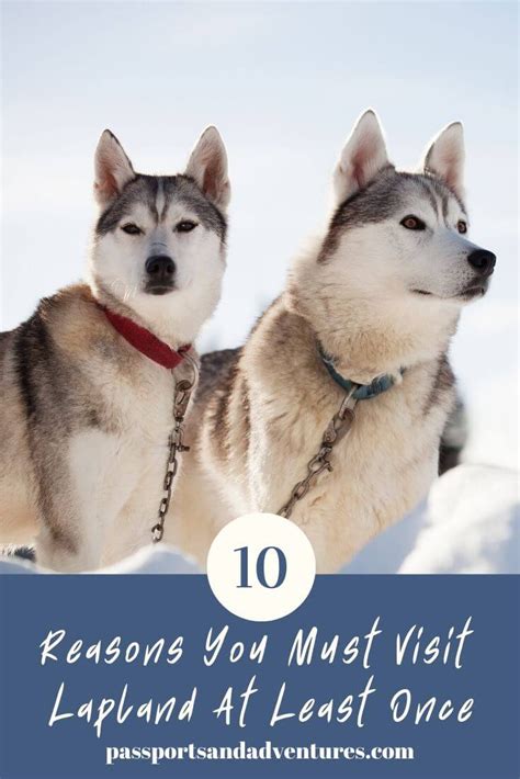 The Best Reasons To Visit Lapland With Kids Or Without Lapland