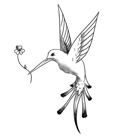 Tattoos Of Humming Bird Hummingbird Tattoo Black And White