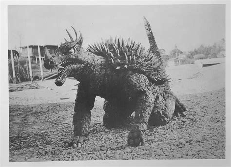 Anguirus Relaxing At The Studio For Destroy All Monsters Godzilla Vs