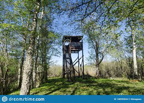 Bird Watching Tower In A Beautiful Deciduous Forest By Springtime Stock