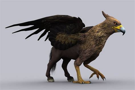 Hippogriff Fbx Only Types Of Dragons Mythical Creatures 3d Characters