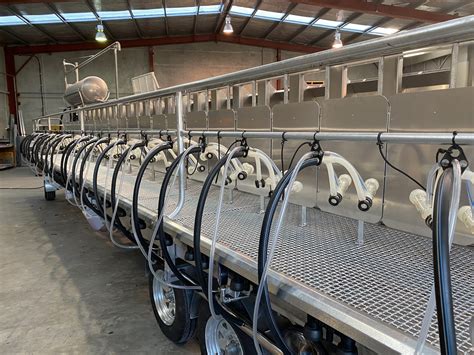 Dairy Milking Technology Read Industrial Ltd