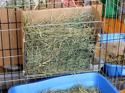 How to save on feed and bedding costs: diy rabbit hay feeder - Google Search | Hay racks, Diy hay ...