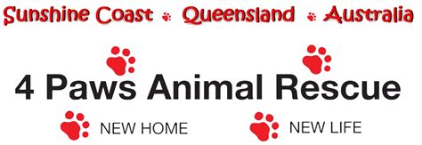 4 Paws Animal Rescue Sunshine Coast Queensland Nicklin Way