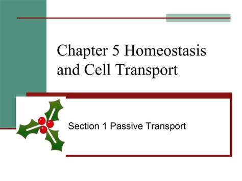 Chapter 5 Homeostasis And Cell Transport