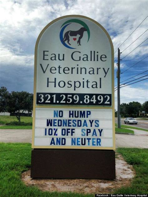 Spaying or neutering pets prevents animals from being born accidentally, and is the most effective and humane way to save animals lives. Funny Vet Hospital Signs Will Make You Howl with Laughter