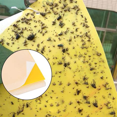 Tebru 50pcs Double Sided Insect Yellow Catching Board Sticky Flying