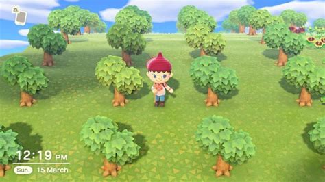 To catch flies in animal crossing: Animal Crossing: How to play? - Animal Crossing New ...