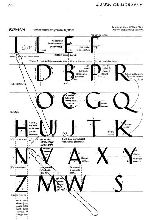 Pin By Abelardo García On Romanas Lettering Learn Calligraphy
