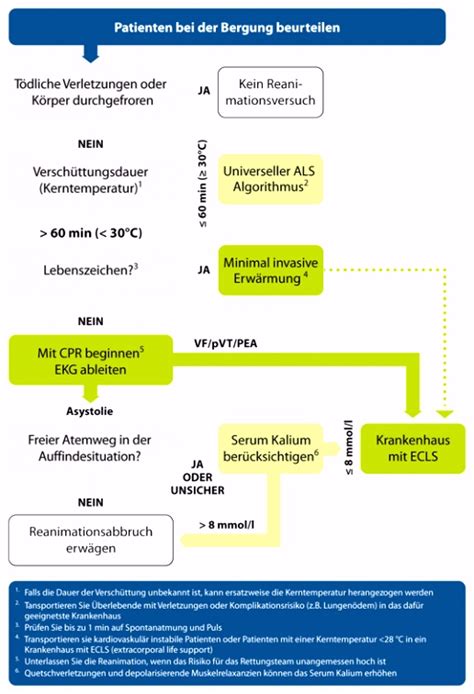 Excel ist und bleibt ein tabellenkalkulationsprogramm und keine datenbank. 10 Mitarbeiter Datenbank Access Vorlage ...