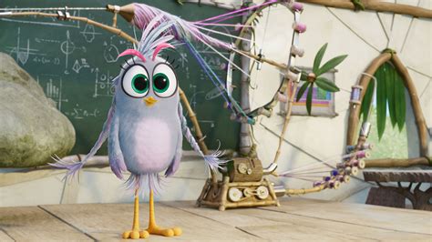 Girls Rule In Angry Birds Out Now On Dvd Blu Ray And Digital