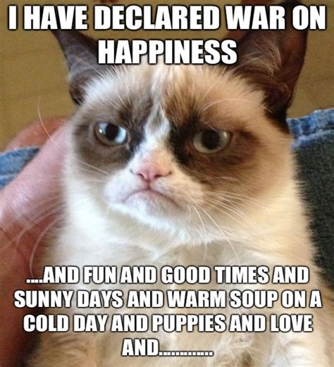 The 51 Best Grumpy Cat Pictures Of All Time Grumpycat