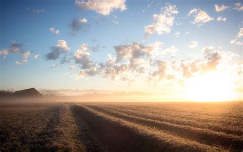 Field Morning Landscape Sunrise Fog Wallpaper 2560x1600 129286