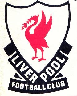 Download transparent liverpool logo png for free on pngkey.com. Liverpool Logo Bird - ClipArt Best