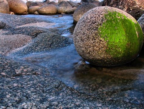 Green Algae Rock A Photo On Flickriver