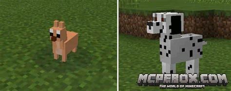 Doggy Mod Mods For Minecraft Pe Mcpe Box