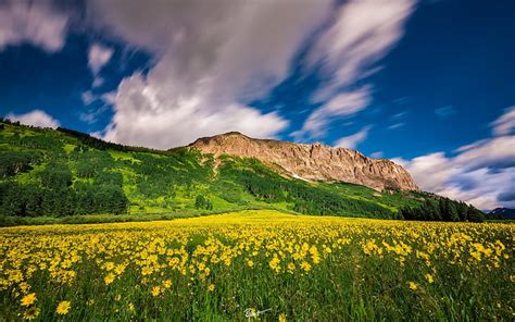 Hd Wallpaper Clouds Flowers Mountains Meadow Colorado Crested