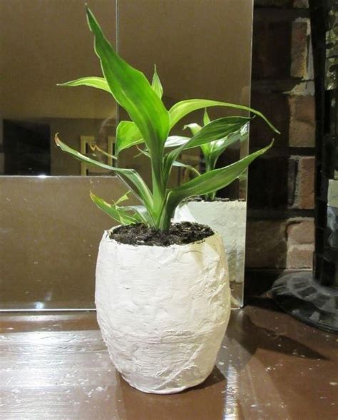 Papier Mache Pot For Plants Paper Pot Plant Pot Diy Diy Flower Pots
