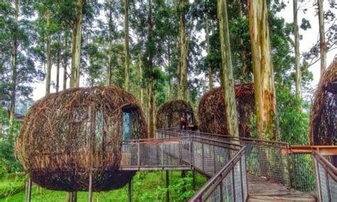 Bandung So Good Wisata Dusun Bambu Kabar Jendela