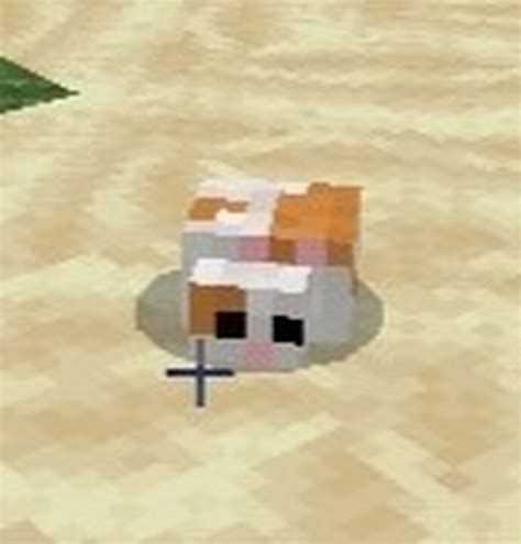Hamster Addon For Mcpe Not For Java Minecraft Mod