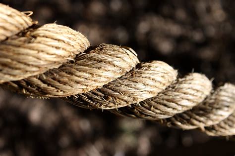 Free Picture Twisted Rope