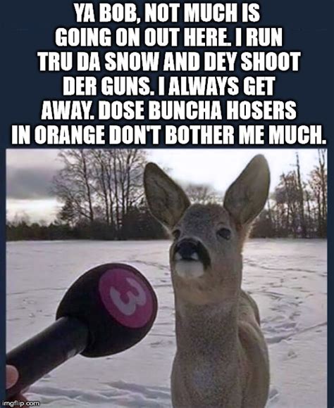 New Oh Deer Meme Memes Embarrassing Memes Silly Memes Lord Memes