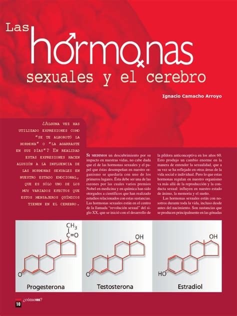 Las Hormonas Sexuales Y El Cerebropdf Estradiol Hormona
