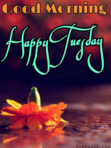 Tuesday Images For Whatsapp Happy Tuesday Images Good Morning