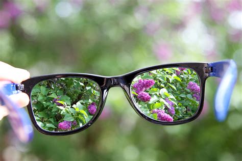 Eyeland EyeDoc — Eyeglass Lens Options