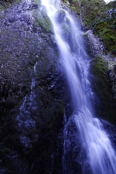 Nick Eaton Casey Creek Herman Creek Loop 20141130 Oregon Hikers