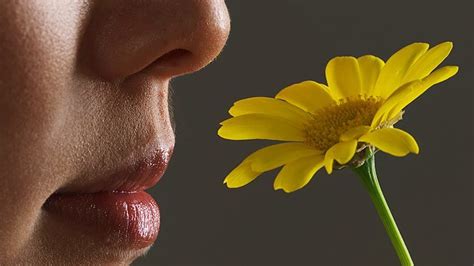 10 Incredible Facts About Your Sense Of Smell