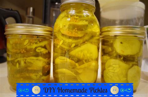 Homemade Diy Bread And Butter Pickles Canning Recipe