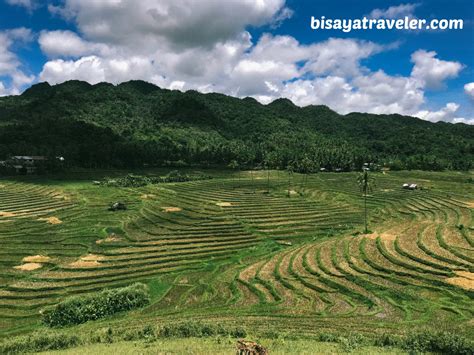 Cadapdapan Rice Terraces And Can Umantad An Insanely Enchanting Combo