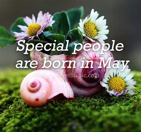 Special People Are Born In May Pictures Photos And Images For