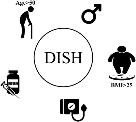 Dish Is Associated With Older Age Male Sex Obesity Hypertension And