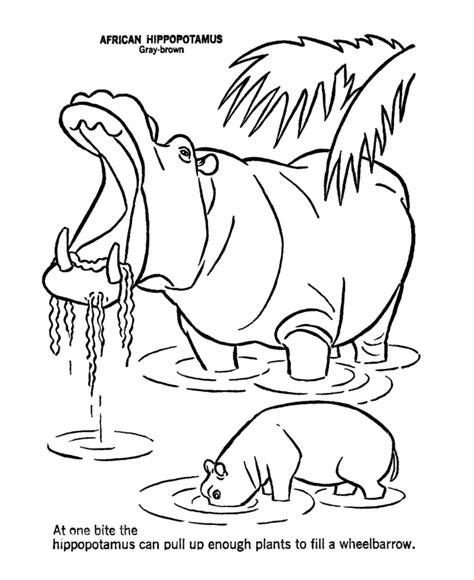 Hippo Coloring Page Hard Christmas Coloring