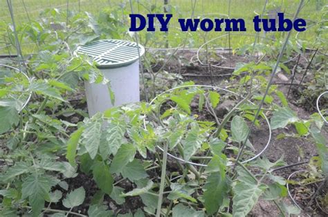 Easy Diy Worm Tube Or Worm Tower