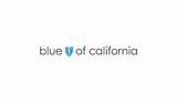 Blue Shield Of California Insurance Card Images