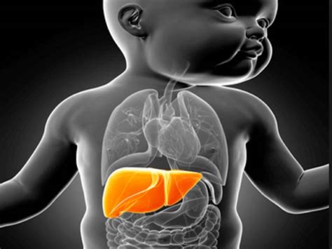 Pediatric Liver Transplant In Pune Pediatric Liver Specialist Dr