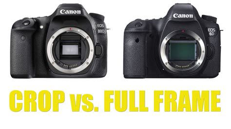Full Frame Vs Crop Sensor Is It Really Worth Switching To Full Frame