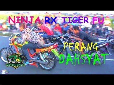Tiger minimalis follow instagram @story.herex : DRAG GANAS ! KING NINJA FU TIGER Di Lintasan HEREX | Instagram